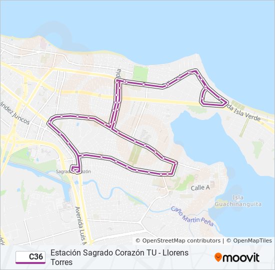 C36 bus Line Map