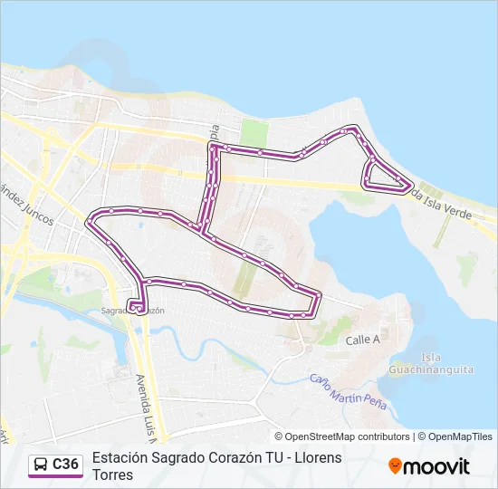 C36 Bus Line Map