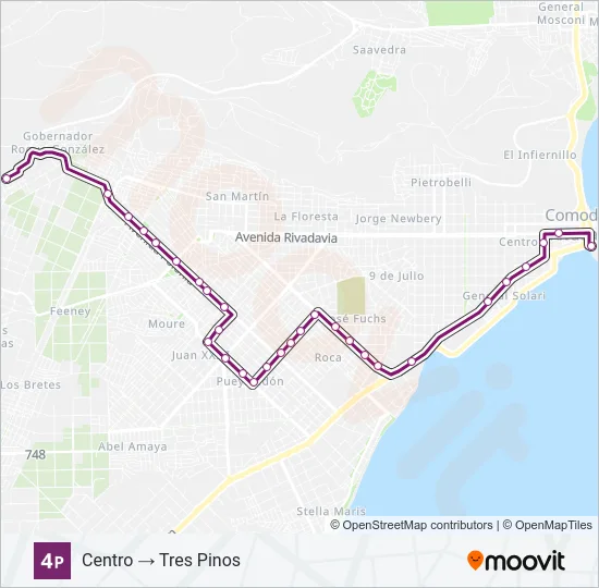 04P Bus Line Map