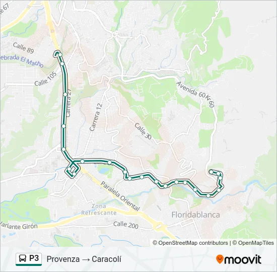 P3 Bus Line Map