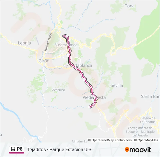 P8 Bus Line Map