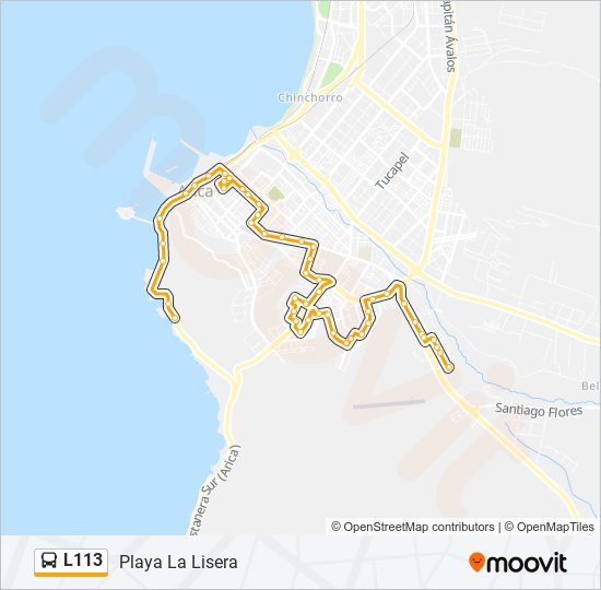 Mapa de L113 de autobús