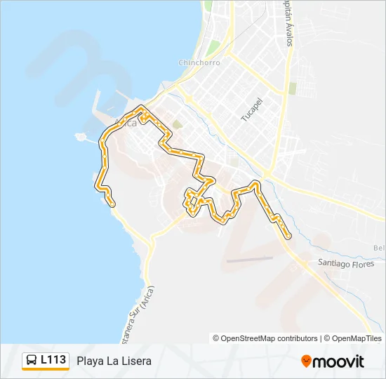 L113 Bus Line Map