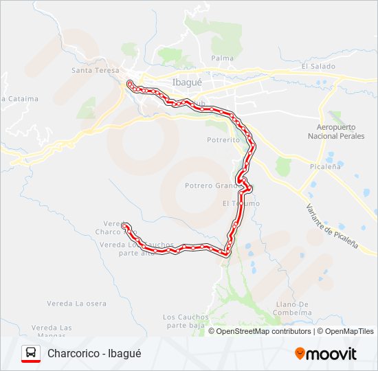 Mapa de VDA. CHARCO RICO BUENA VISTA de autobús