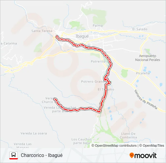 VDA. CHARCO RICO BUENA VISTA Bus Line Map
