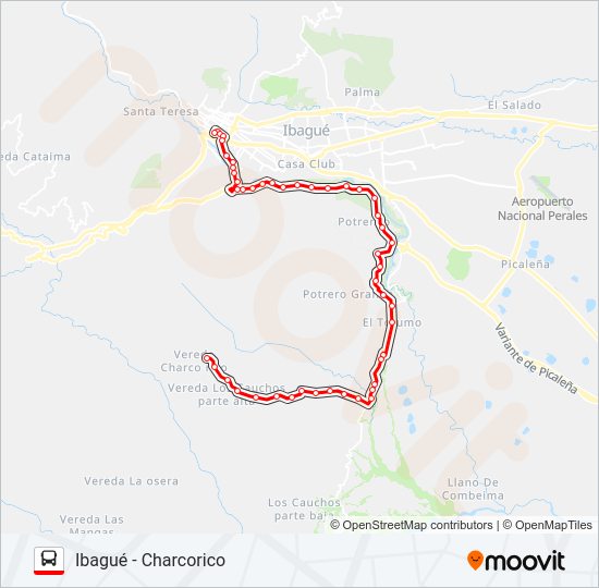 Mapa de VDA. CHARCO RICO BUENA VISTA de autobús