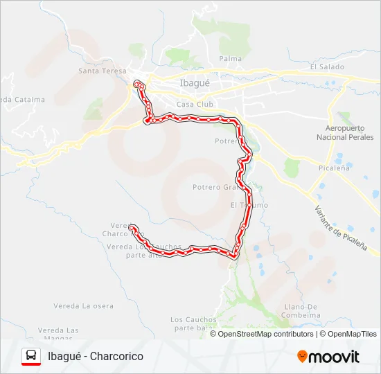 VDA. CHARCO RICO BUENA VISTA Bus Line Map