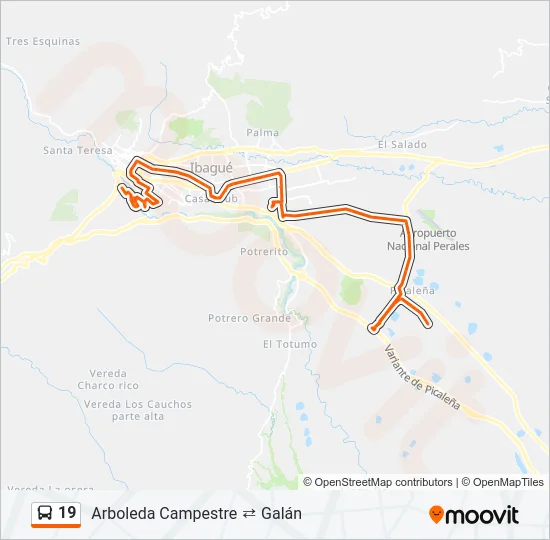 19 Bus Line Map