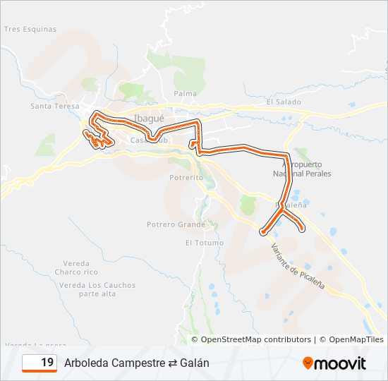 19 bus Line Map