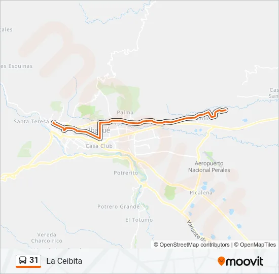 31 Bus Line Map