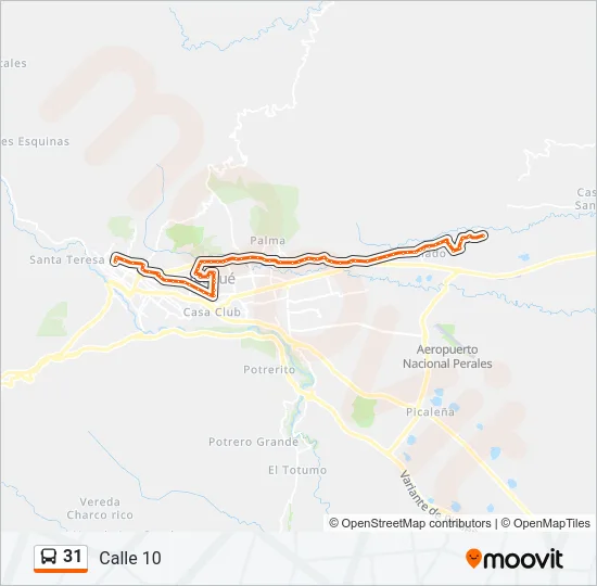 31 Bus Line Map