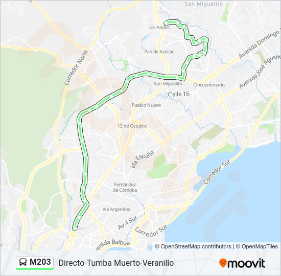 M203 Bus Line Map