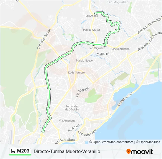 M203 Bus Line Map