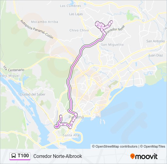 T100 bus Line Map