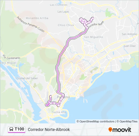 T100 Bus Line Map
