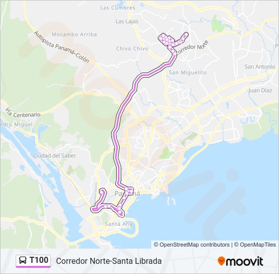 T100 Bus Line Map