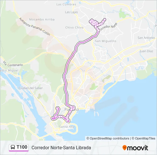 T100 Bus Line Map