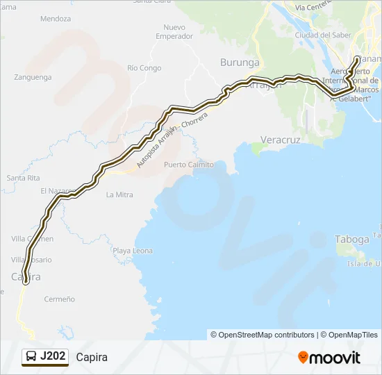 J202 Bus Line Map