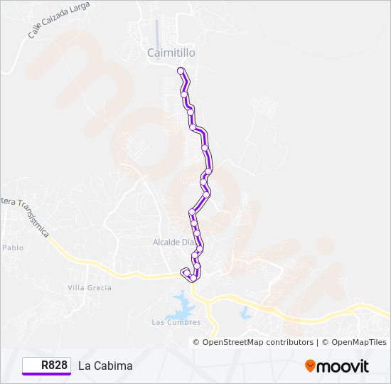 R828 bus Line Map