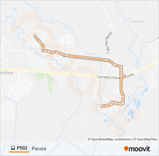 P502 bus Line Map