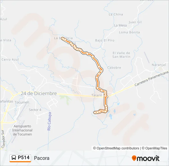 P514 Bus Line Map