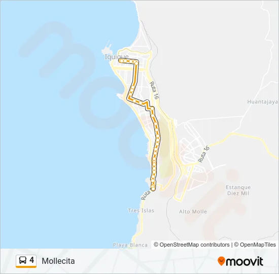 4 Bus Line Map