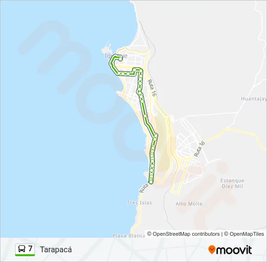 7 Bus Line Map