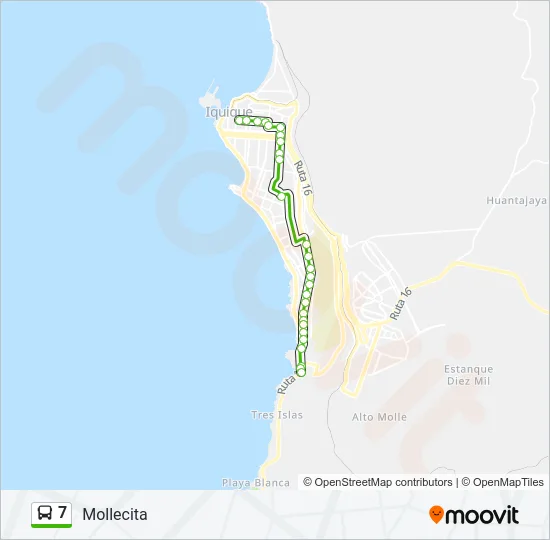 7 Bus Line Map