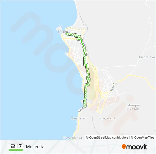 17 Bus Line Map