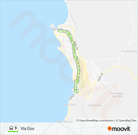 9 Bus Line Map