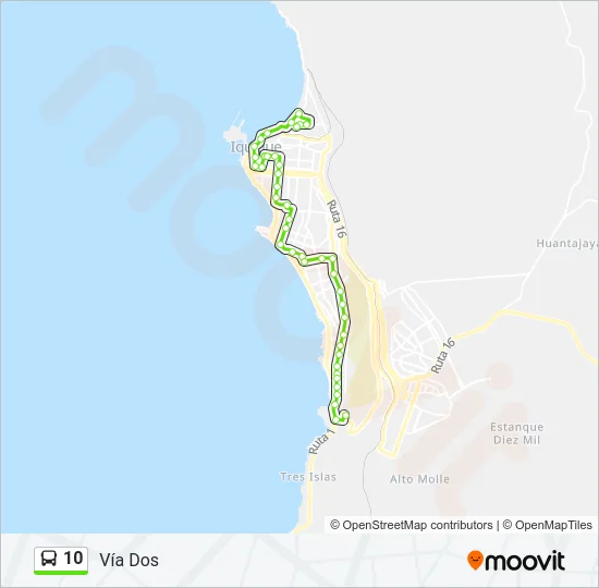10 Bus Line Map