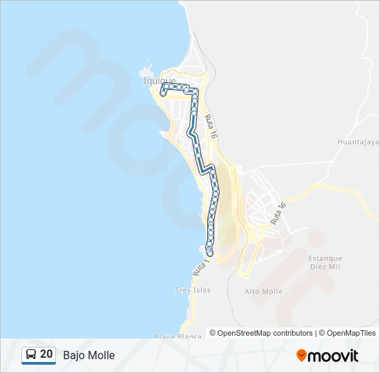 20 Bus Line Map