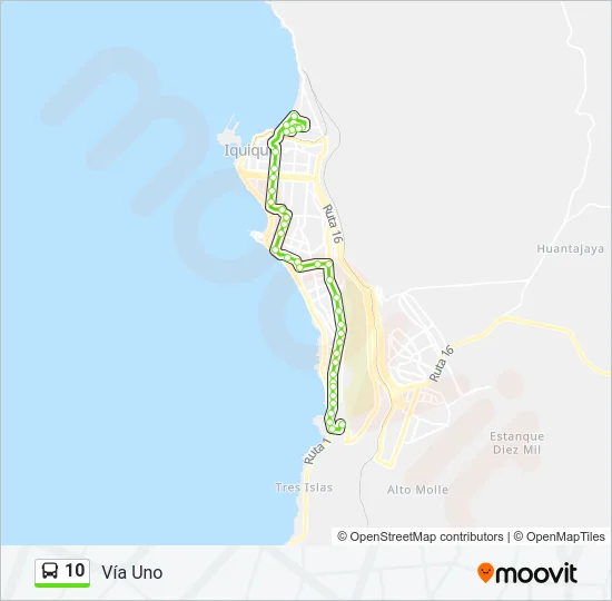 10 Bus Line Map