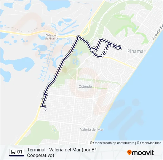 01 Bus Line Map