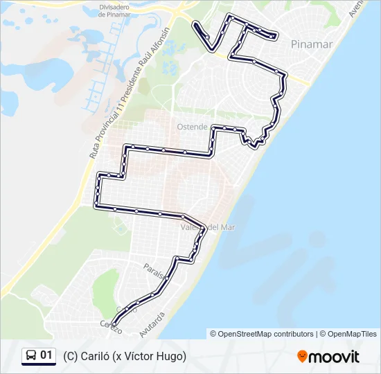 01 Bus Line Map
