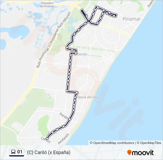 01 Bus Line Map