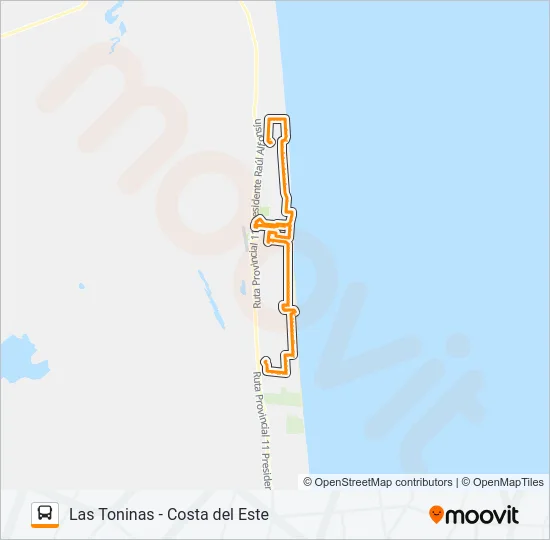 ZONA CENTRO Bus Line Map