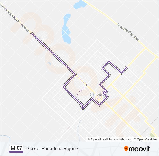 Mapa de 07 de autobús