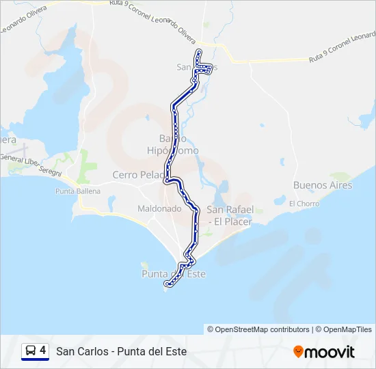 4 Bus Line Map
