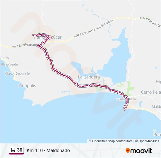 30 Bus Line Map