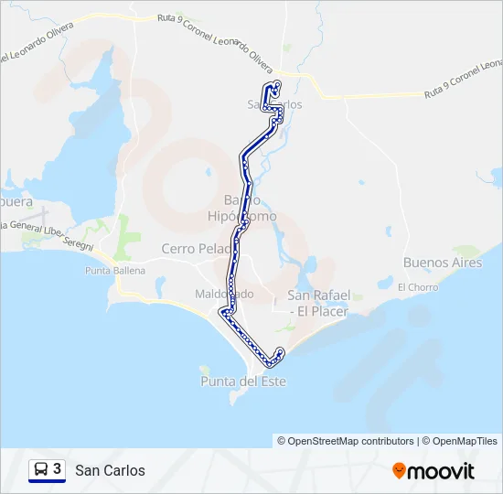 3 Bus Line Map