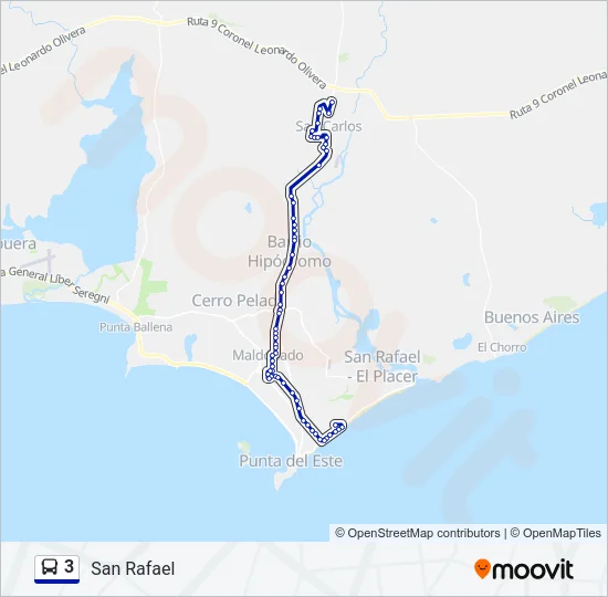 3 Bus Line Map