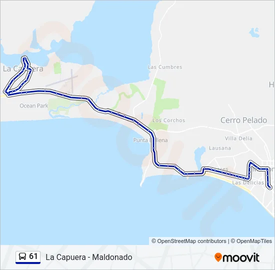 61 Bus Line Map