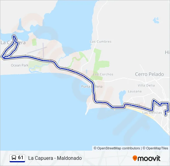 61 Bus Line Map