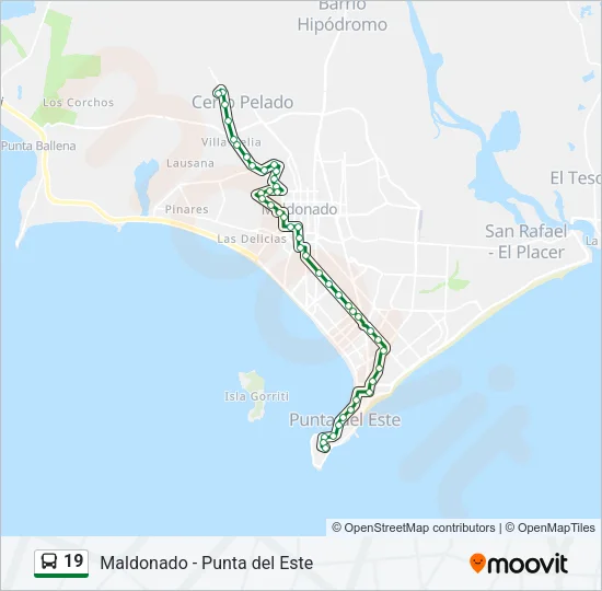 19 Bus Line Map