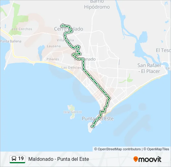 19 Bus Line Map