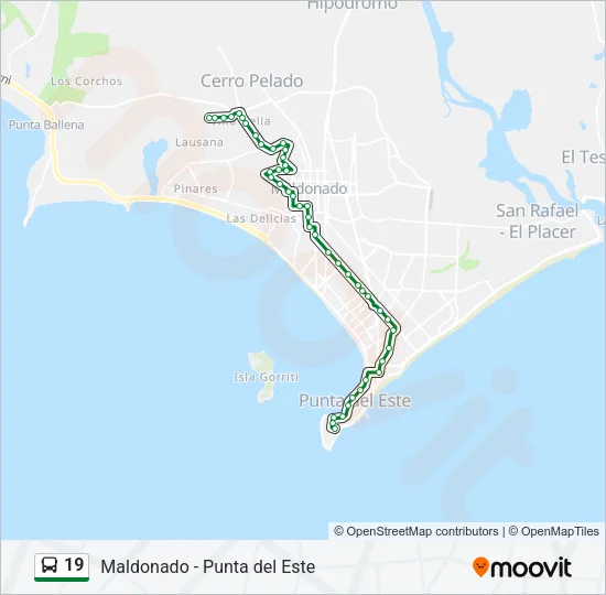 19 Bus Line Map