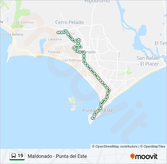 Mapa de 19 de autobús