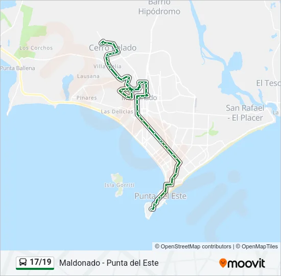 17/19 Bus Line Map