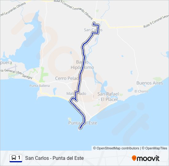 1 bus Line Map